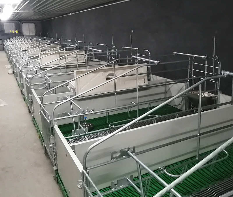 母豬用圓鋼產床 分娩欄